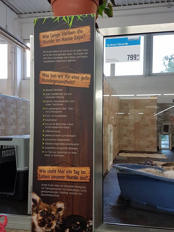 Biggest pet shop in the world